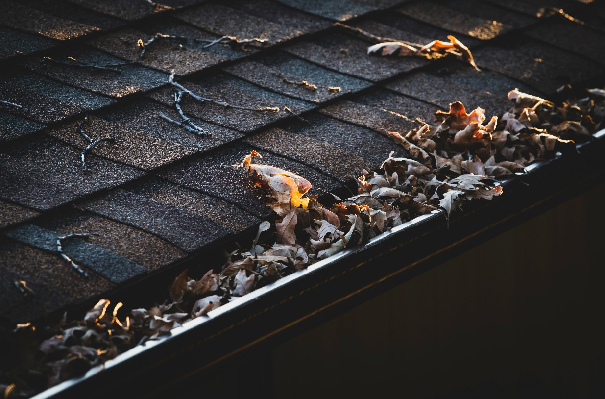 Gutter Cleaning cover image